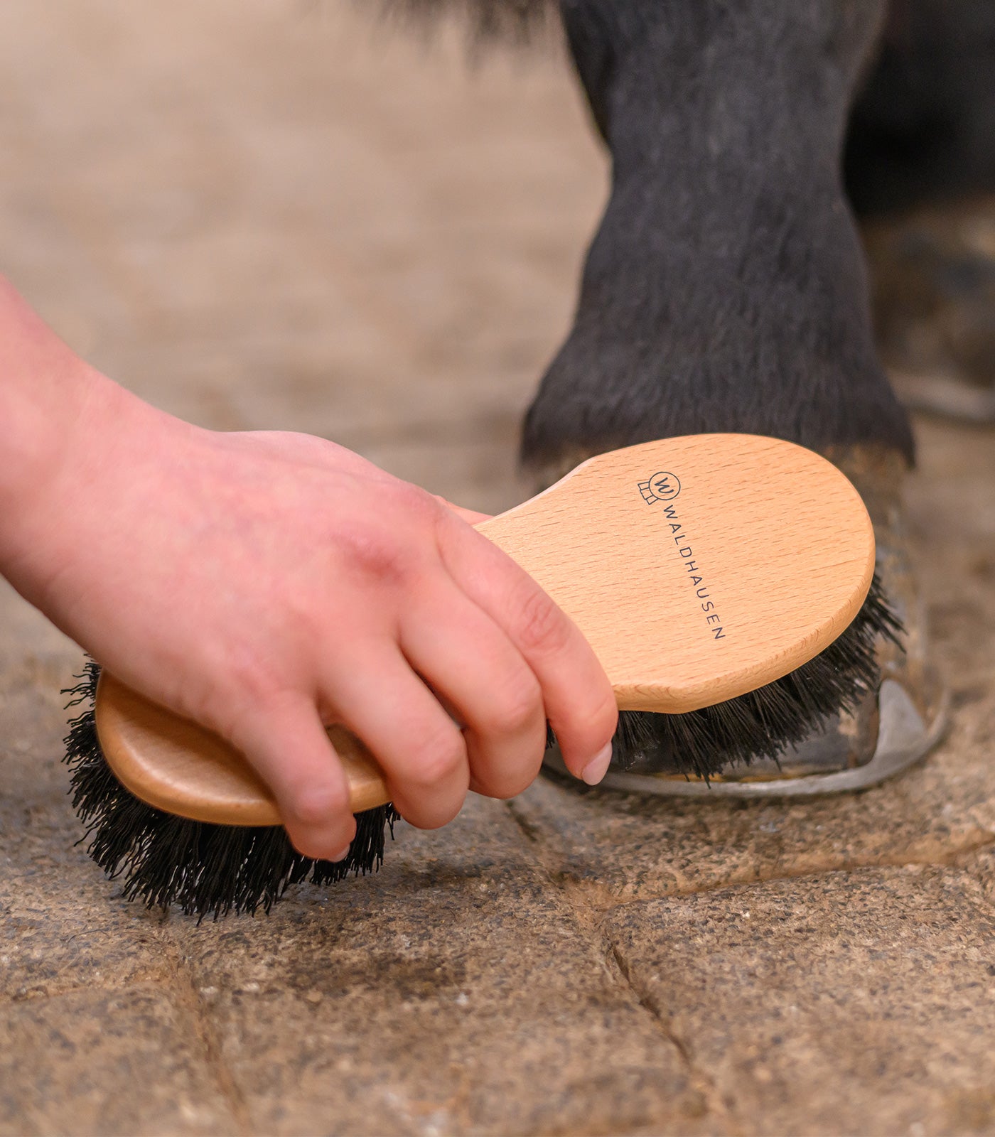 Waldhausen - Exclusive Line Hoof Brush