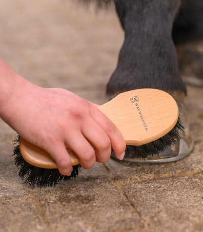 Waldhausen - Exclusive Line Hoof Brush