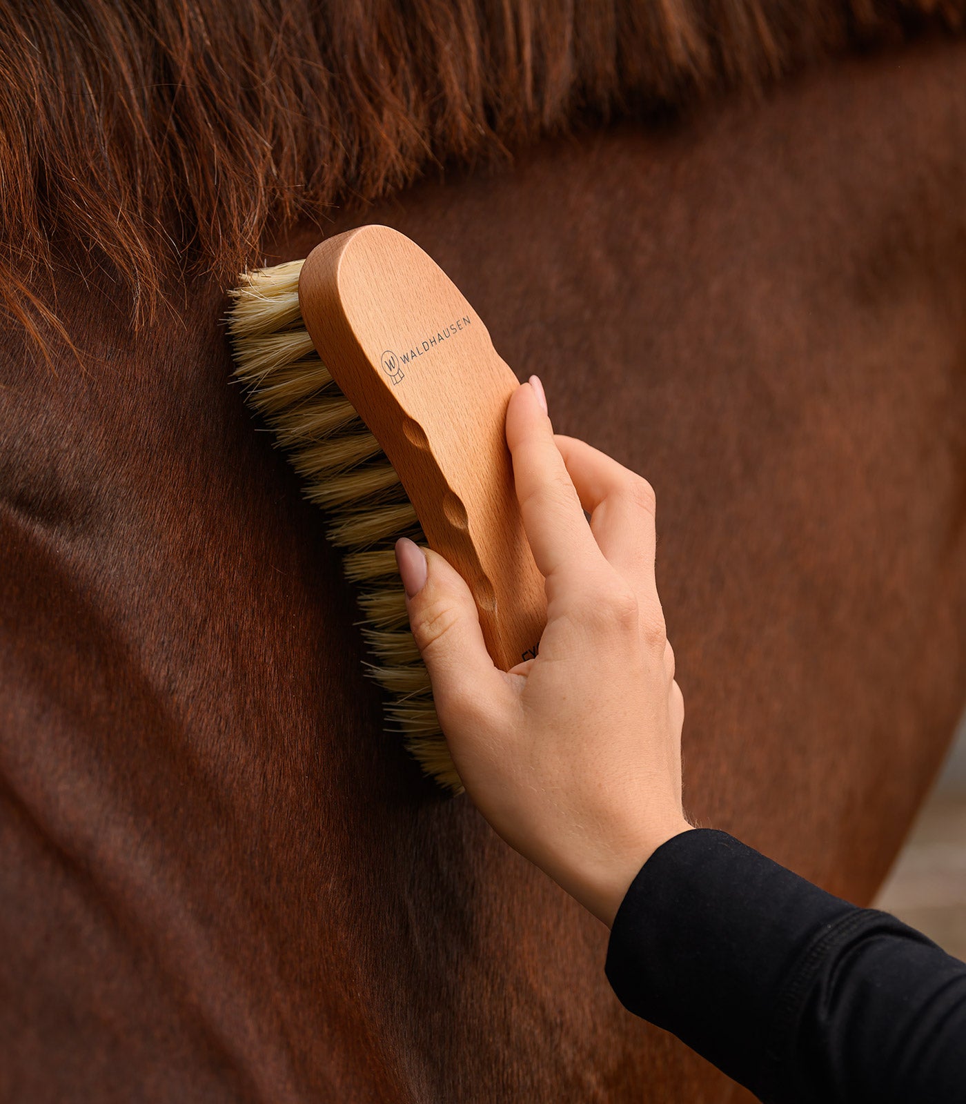 Waldhausen - Exclusive Line Contour Brush