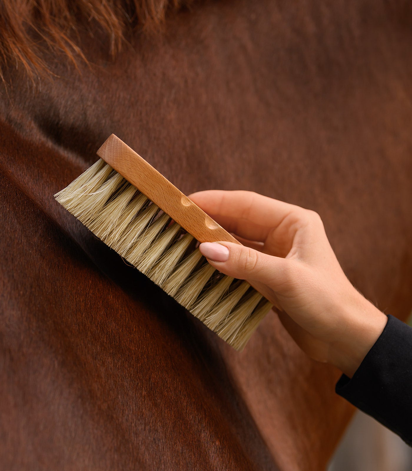 Waldhausen - Exclusive Line Contour Brush