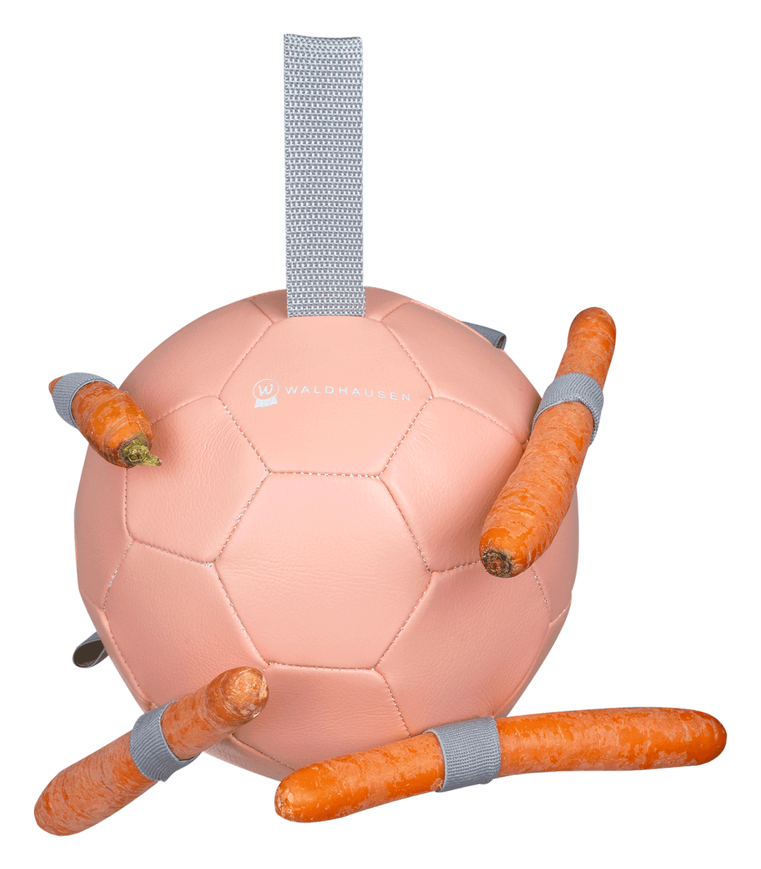 Waldhausen - Carrotball