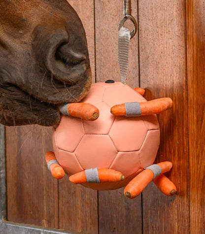 Waldhausen - Carrotball