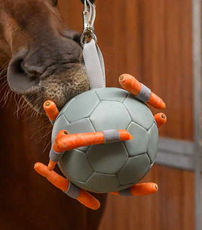 Waldhausen - Carrotball