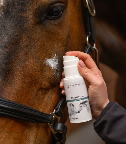 Waldhausen - Skin Repair, 100 ml