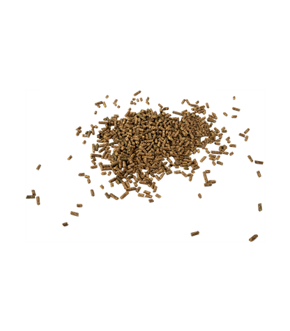 Waldhausen - Magnesium Forte, 1 kg Pellets