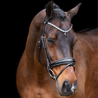 Imperial Ridning, Hovedtøj, Olympia- Black