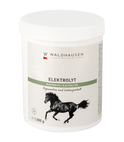 Waldhausen - Electrolyt, Powder, 1 kg