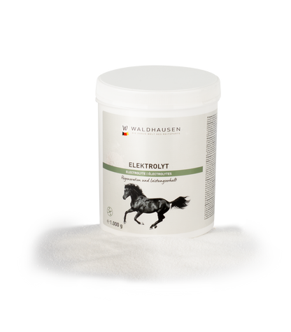 Waldhausen - Electrolyt, Powder, 1 kg