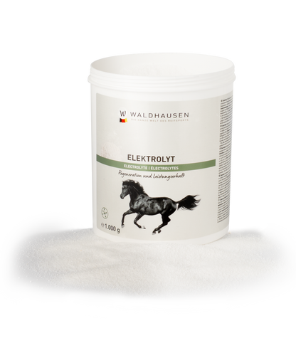 Waldhausen - Electrolyt, Powder, 1 kg