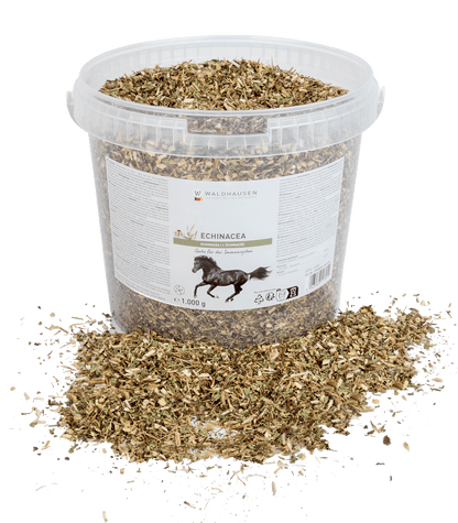 Waldhausen - Echinacea, 1 kg