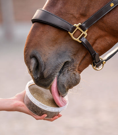 Waldhausen - StableSnack Licking Bowl, 650g
