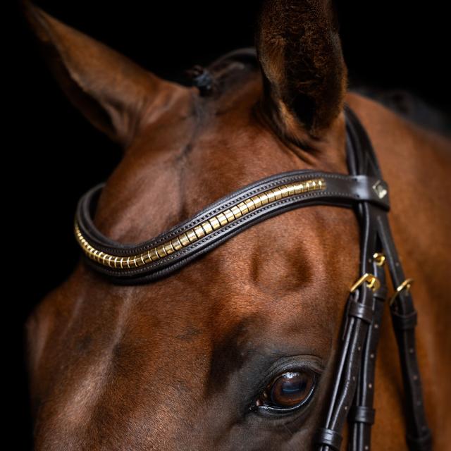 Imperial Ridning, Hovedtøj, Mexican-  Brown