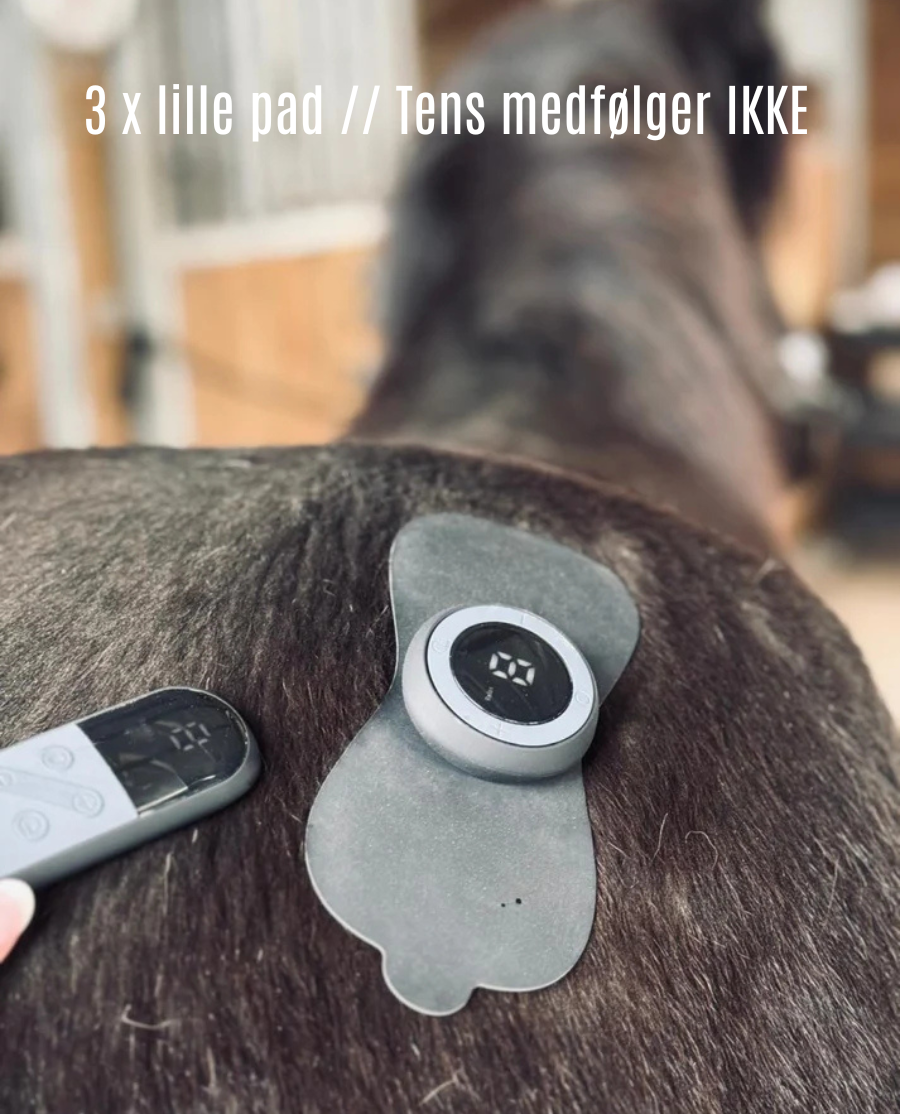 Equine LTS 3 x lille pad til Tens