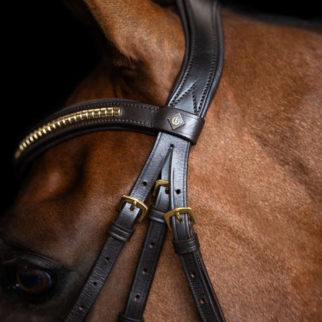 Imperial Ridning, Hovedtøj, Mexican-  Brown