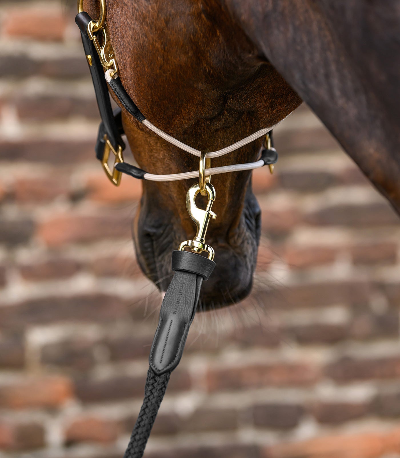 Waldhausen - Leadrope Royal with leather details, snap hook
