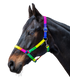 Waldhausen - Halter rainbow, neon multicolor