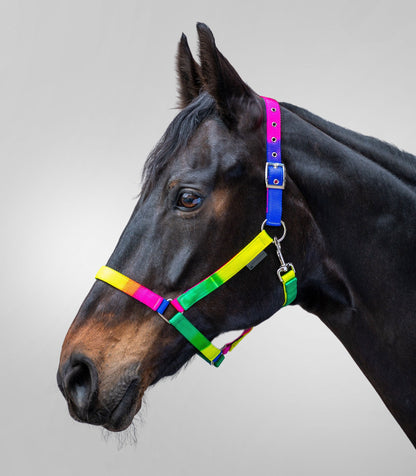 Waldhausen - Halter rainbow, neon multicolor