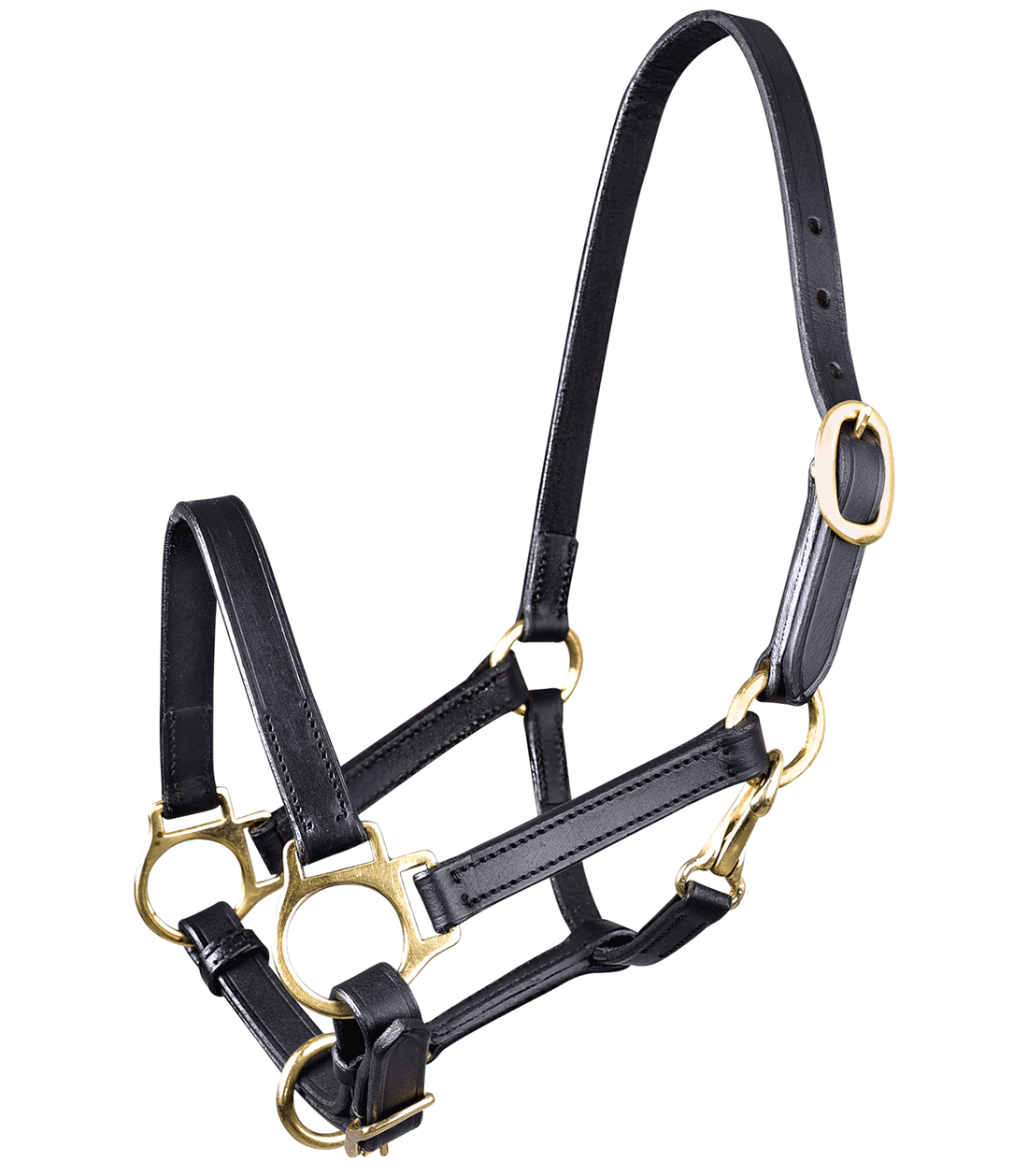 STAR - Halter Leather, black, foal