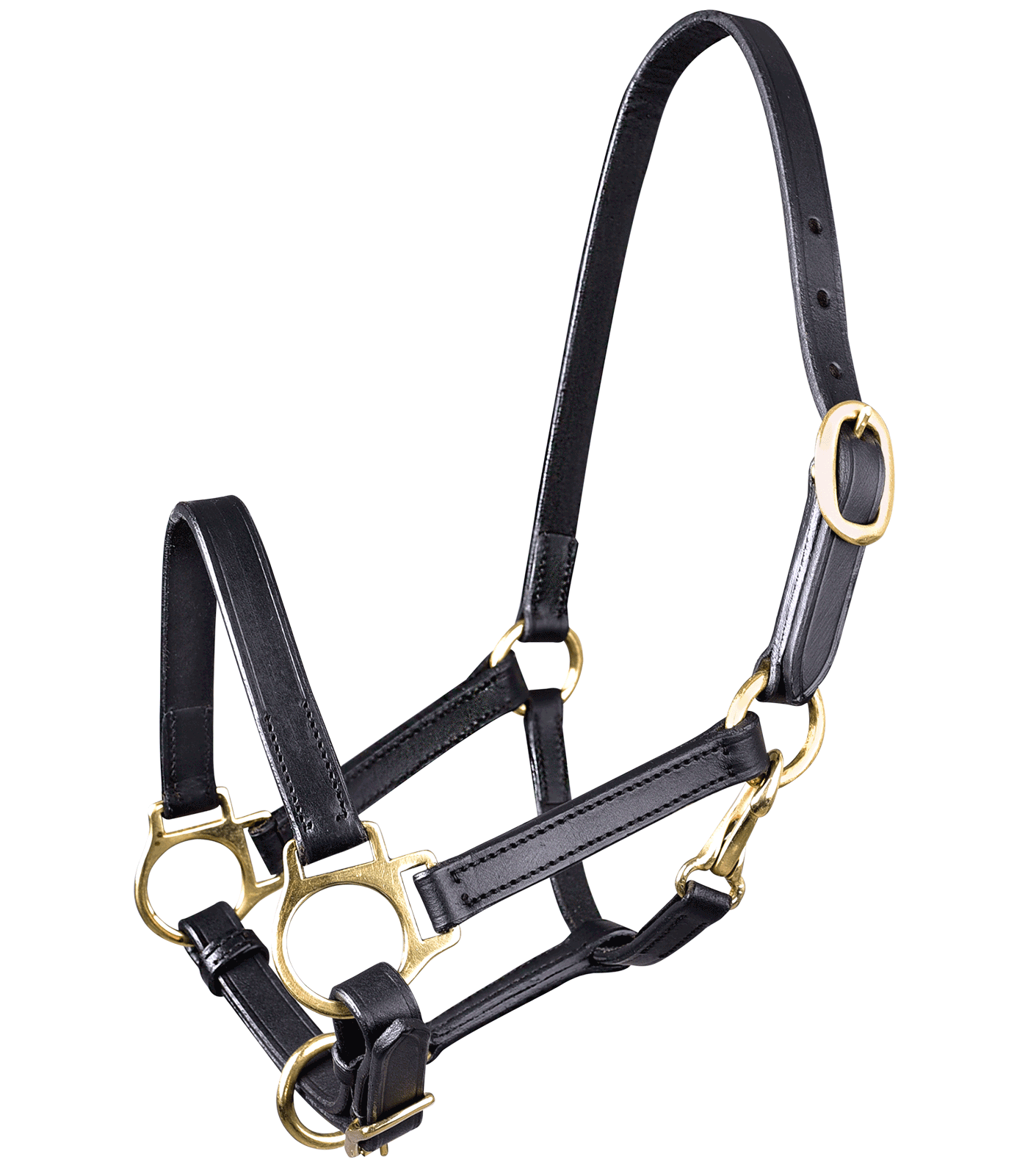 STAR - Halter Leather, black, foal