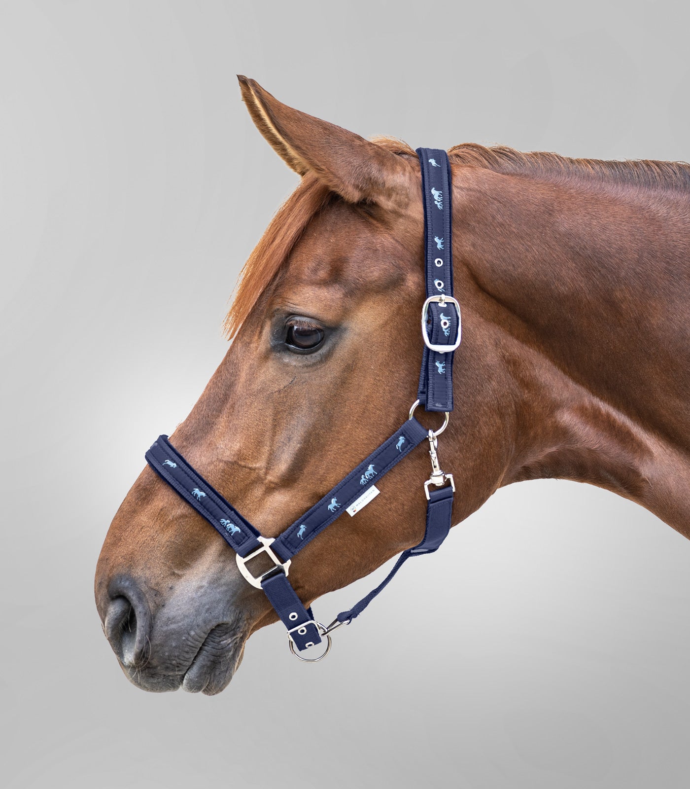 Waldhausen - Halter