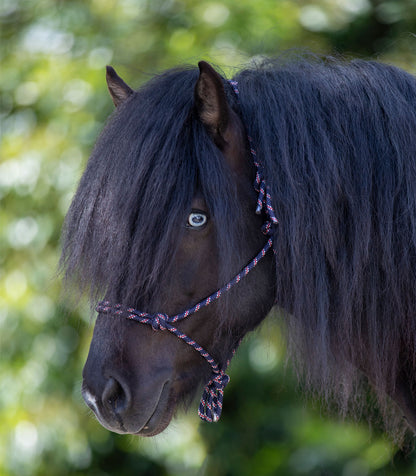 Waldhausen - Knot Halter