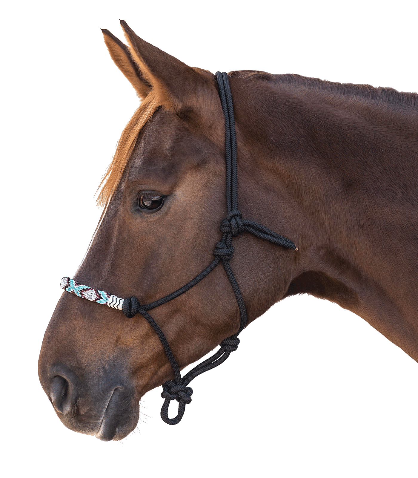 Waldhausen - Knot Halter Pearls