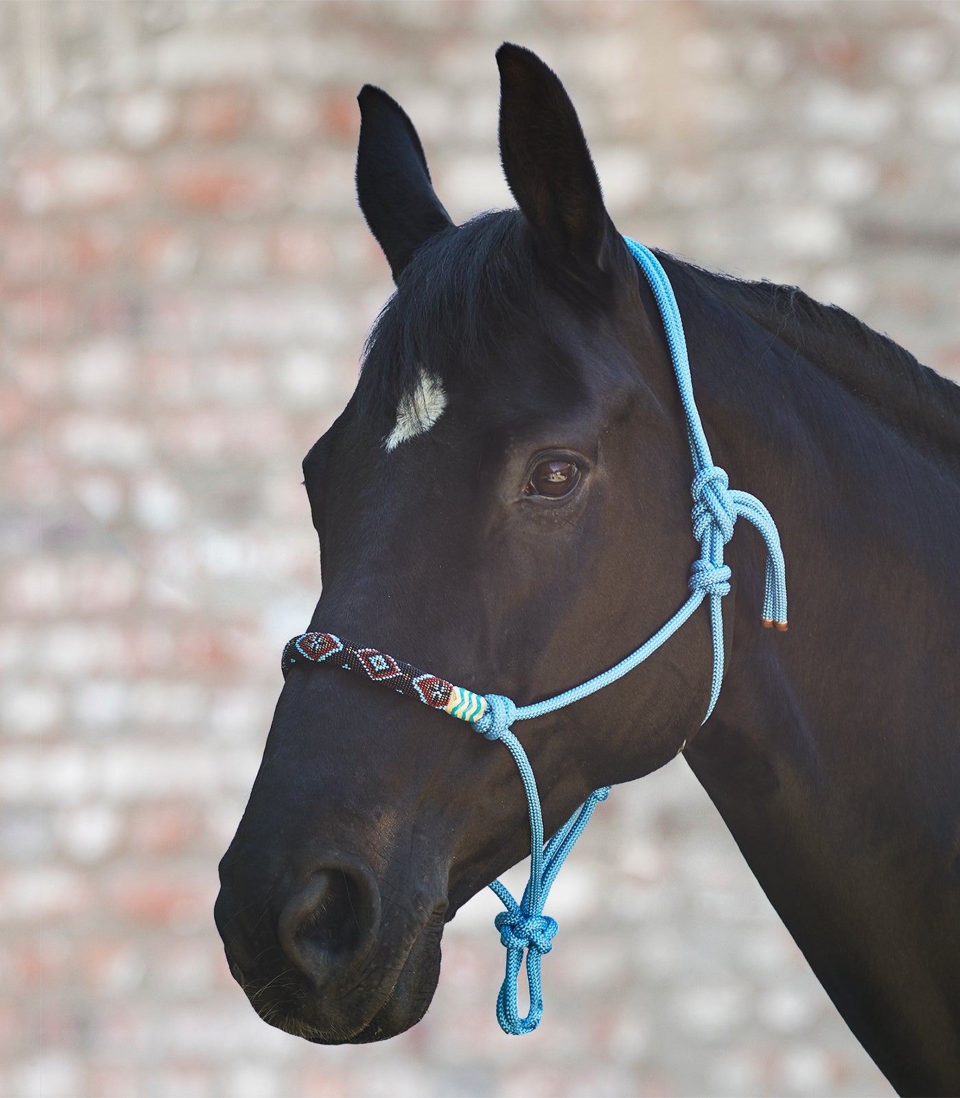 Waldhausen - Knot Halter Pearls
