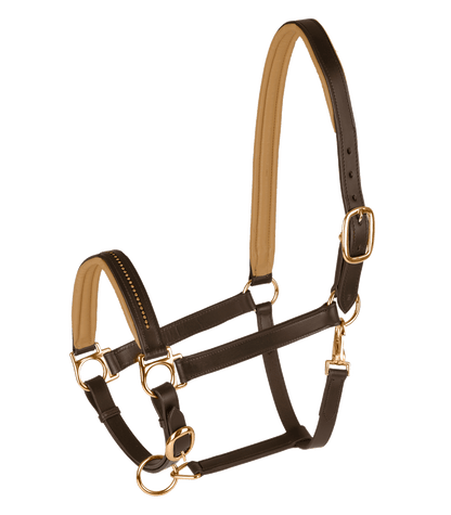 STAR - STAR Leatherhalter Diamond