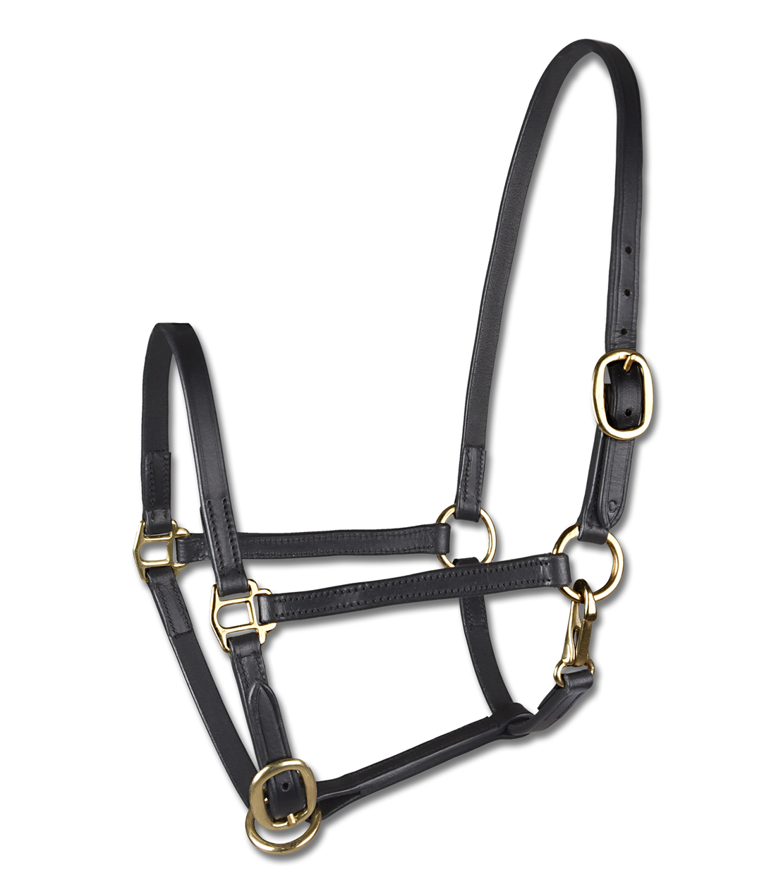 STAR - STAR Foalhalter leather
