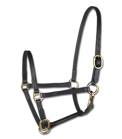 STAR - STAR Foalhalter leather