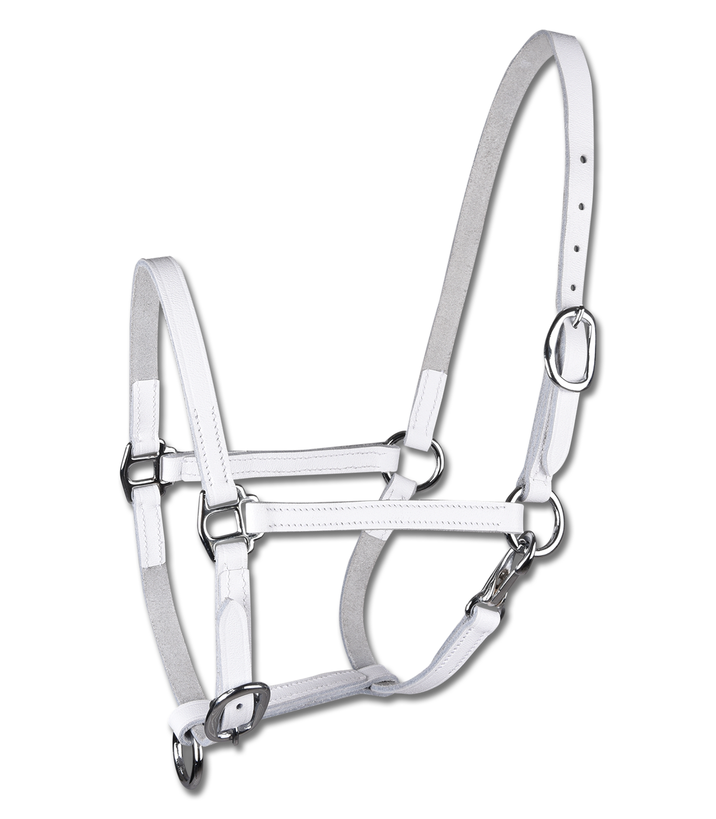 STAR - STAR Foalhalter leather