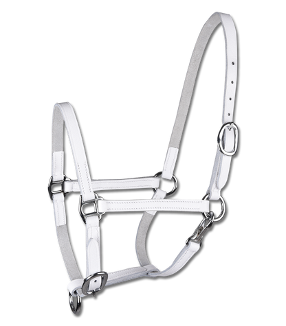 STAR - STAR Foalhalter leather