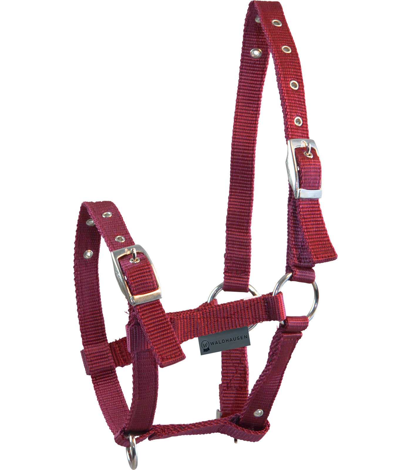 Waldhausen - Foal halter Triple