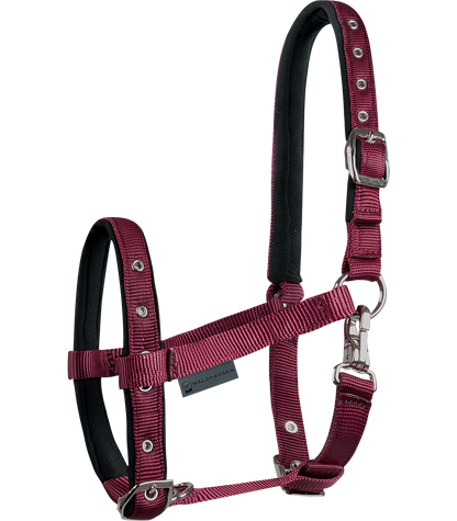 Waldhausen - Foal halter comfort