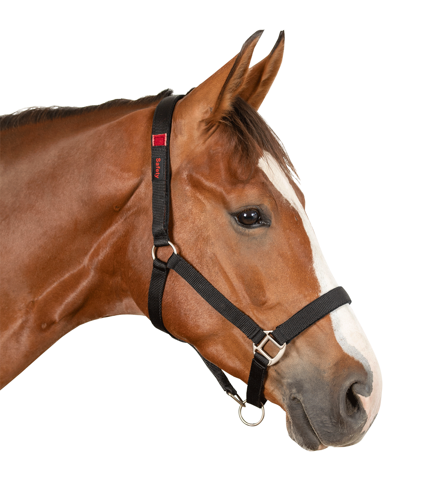 Waldhausen - Safety halter