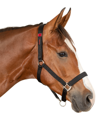 Waldhausen - Safety halter