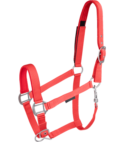 Waldhausen - Safety halter