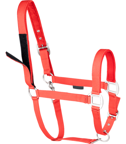 Waldhausen - Safety halter