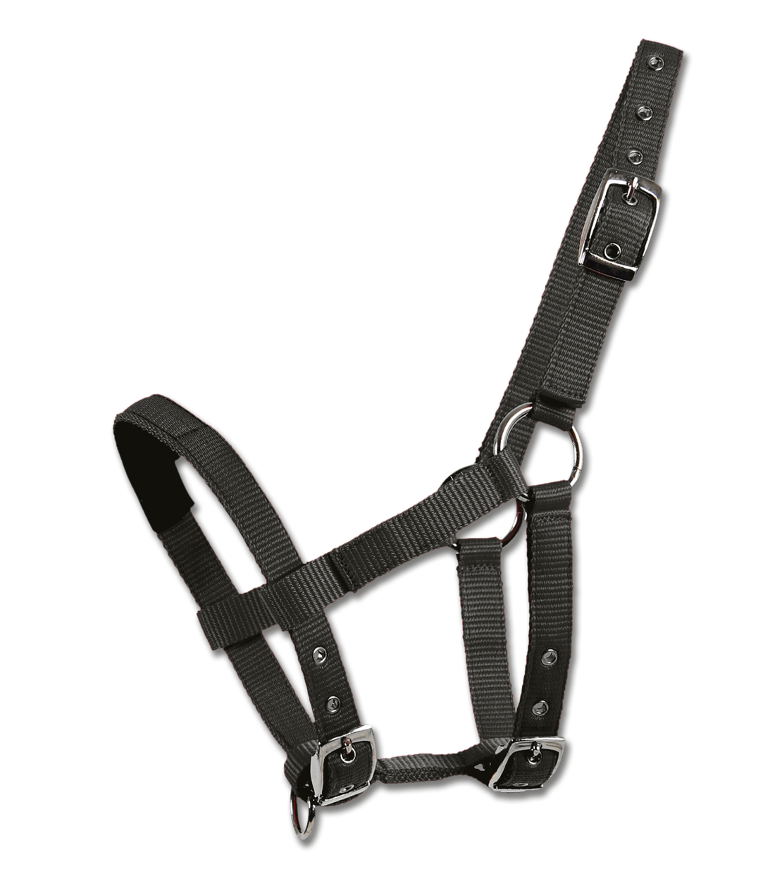 Waldhausen - Mini-Shetty halter padded