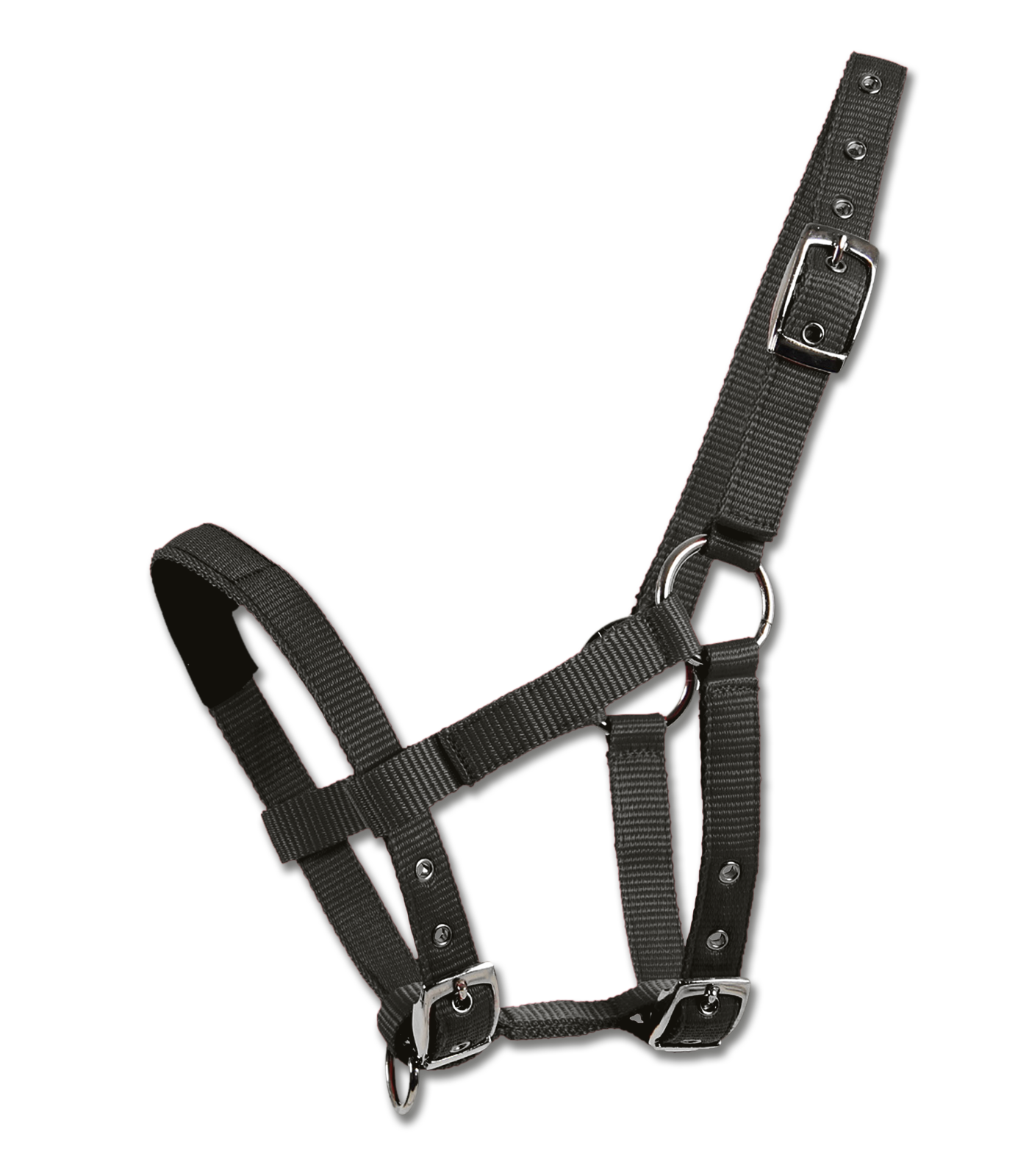 Waldhausen - Mini-Shetty halter padded