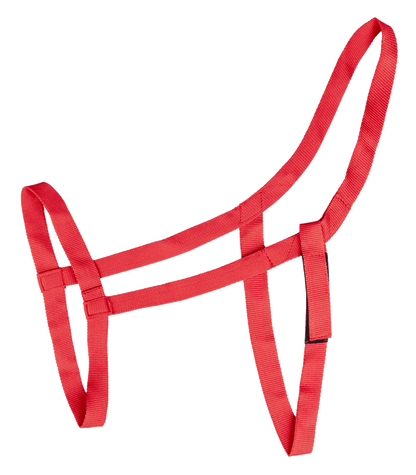 Waldhausen - Grazing halter