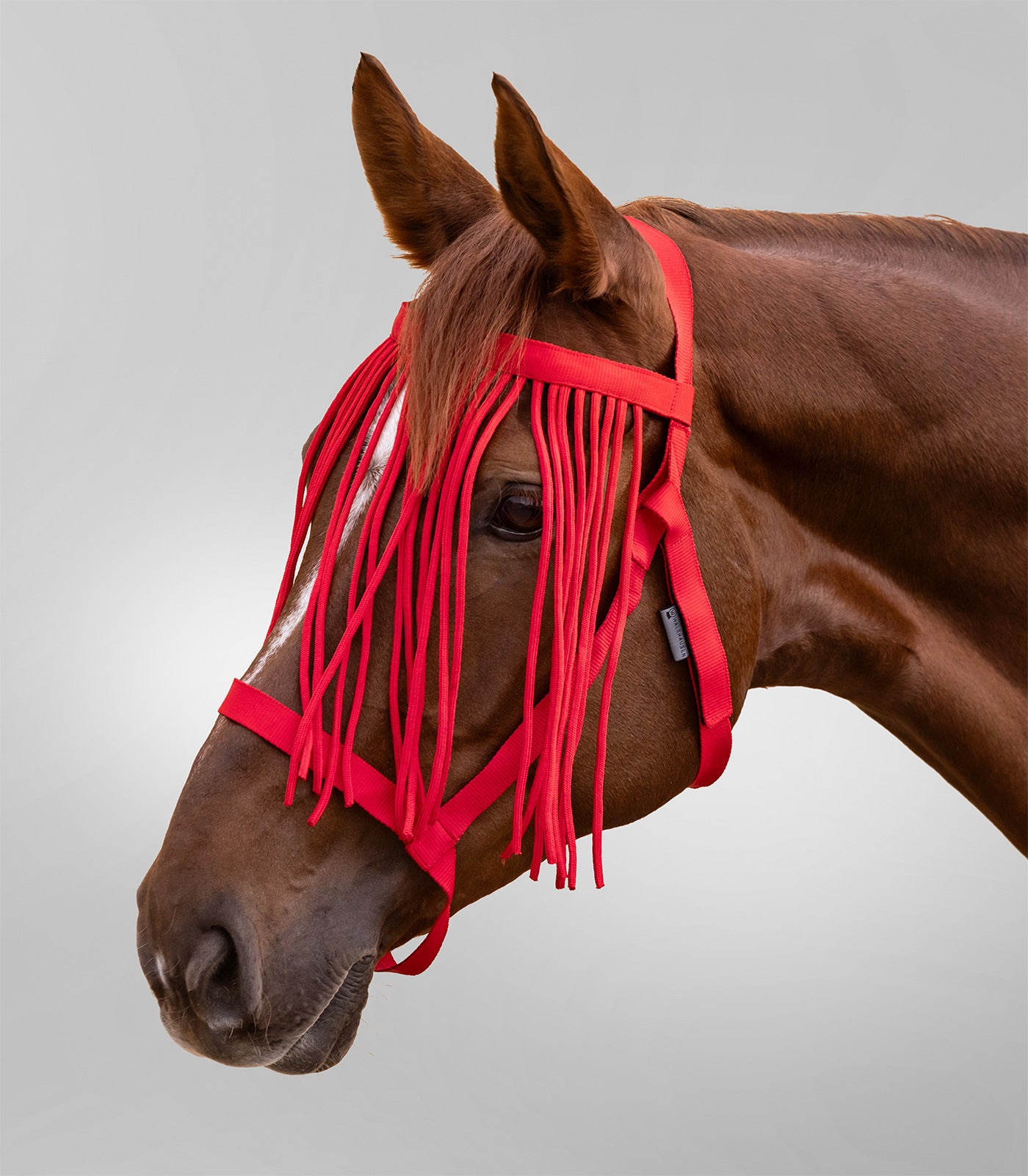 Waldhausen - Grazing halter with Fly Fringe