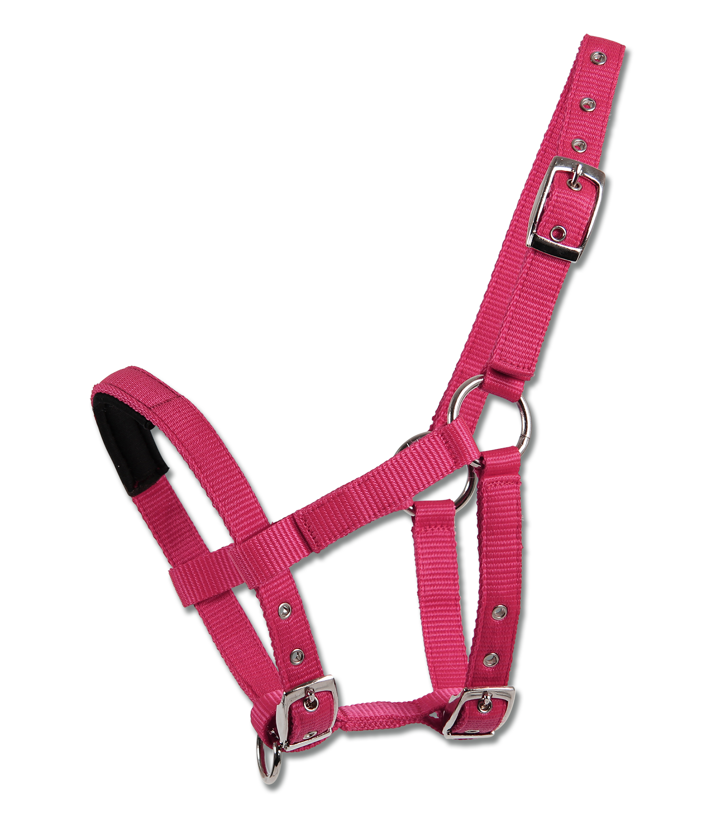 Waldhausen - Mini-Shetty halter padded