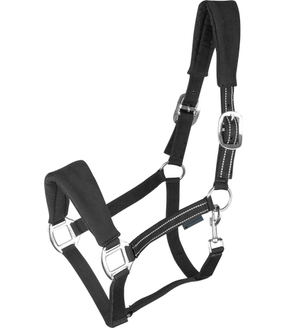 Waldhausen - Halter Alcantara