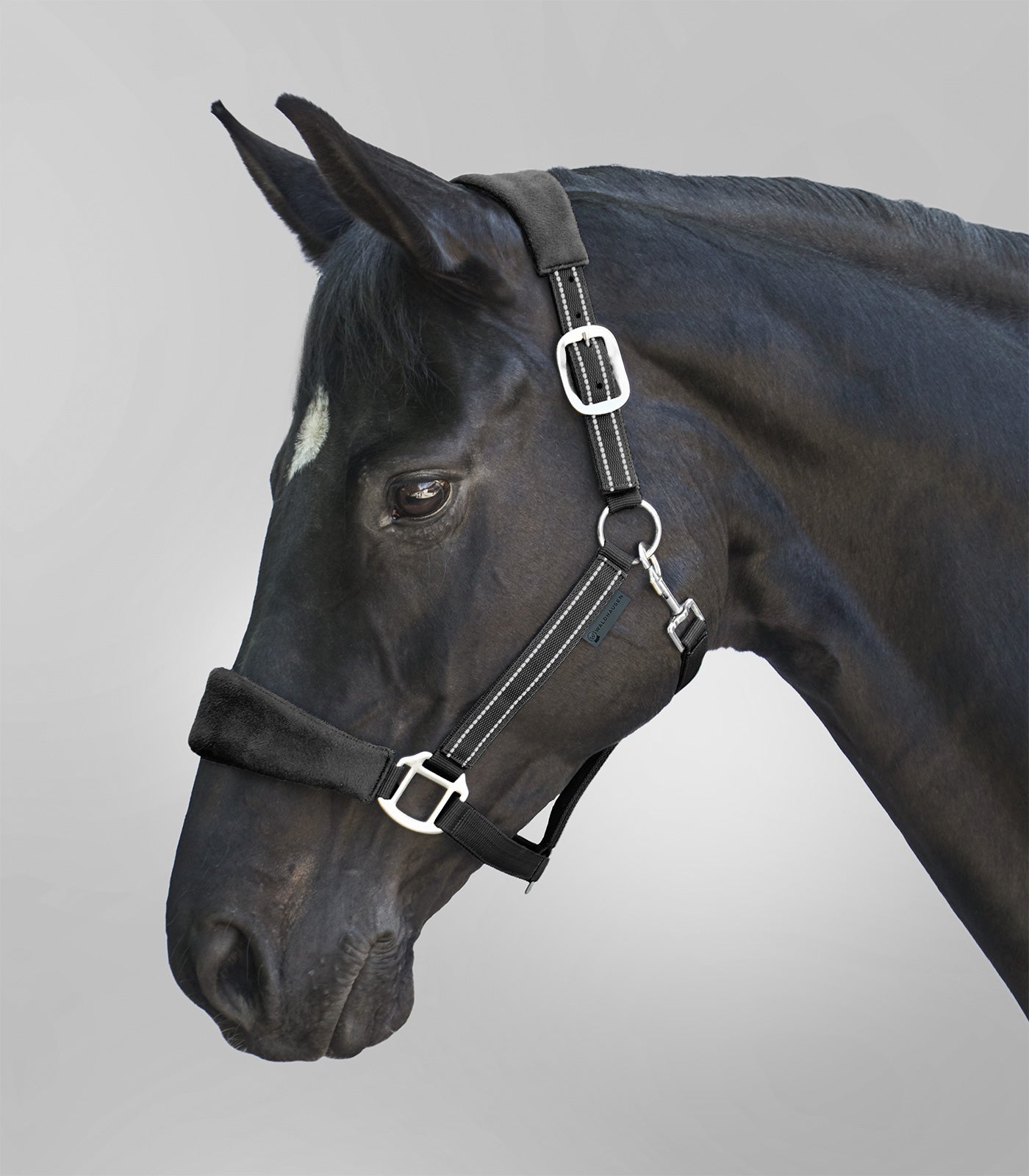 Waldhausen - Halter Alcantara
