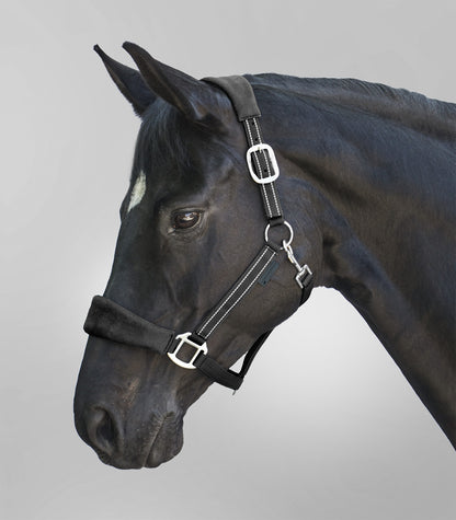Waldhausen - Halter Alcantara