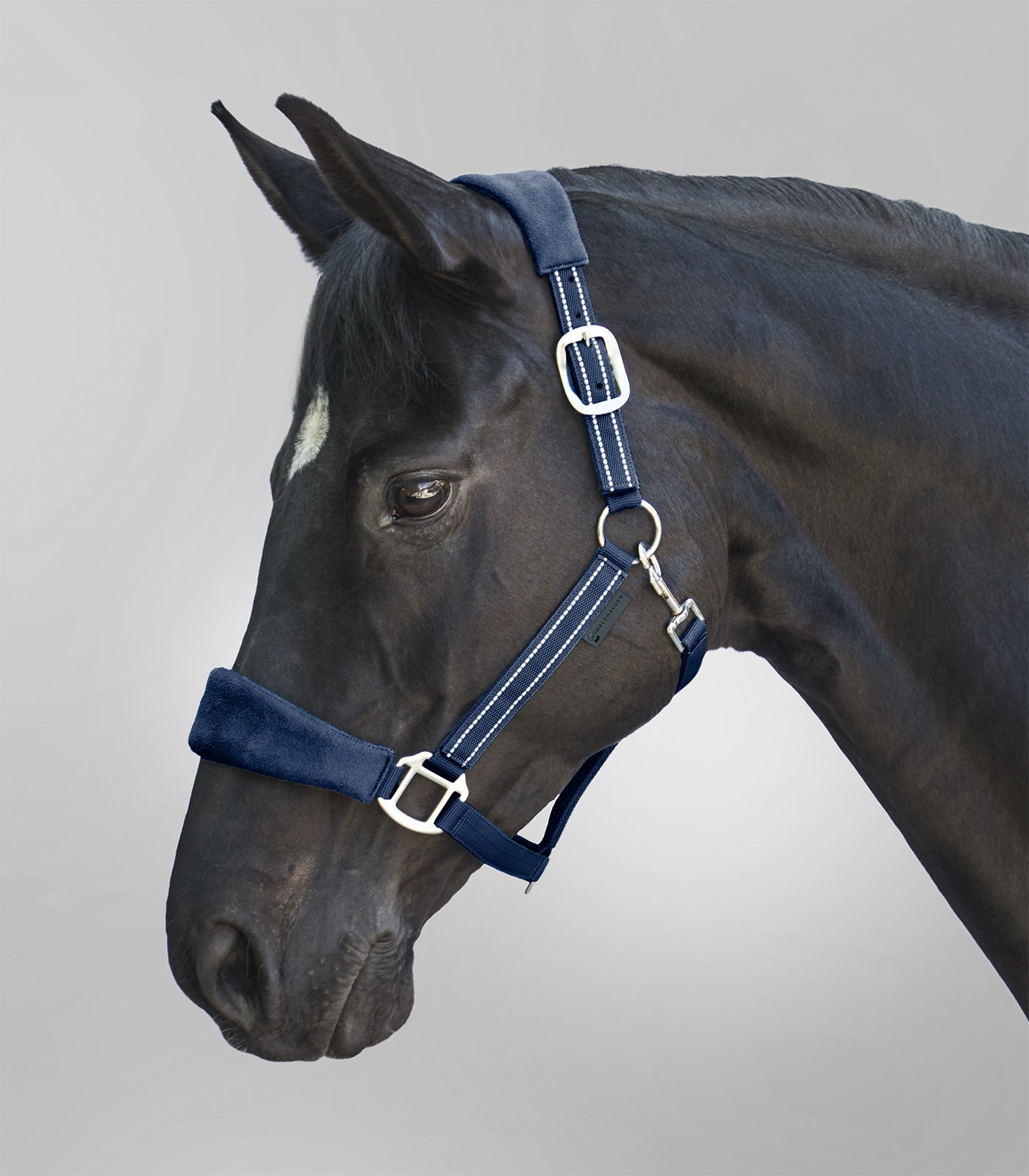 Waldhausen - Halter Alcantara
