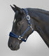 Waldhausen - Halter Alcantara