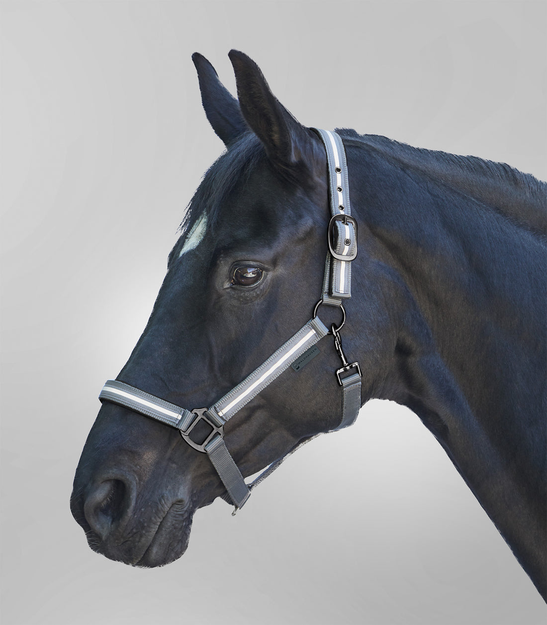 Waldhausen - Halter Reflex Stripe, grey