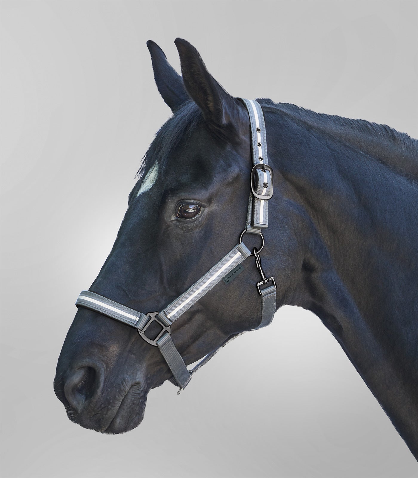 Waldhausen - Halter Reflex Stripe, grey